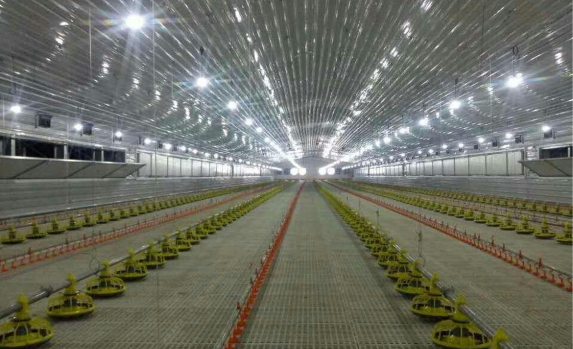 Broiler house