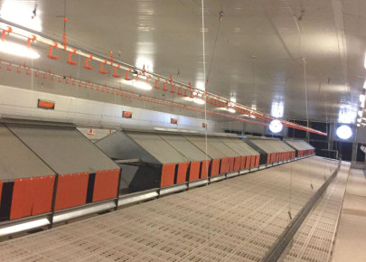 XGZ Light steel poultry breeder farm