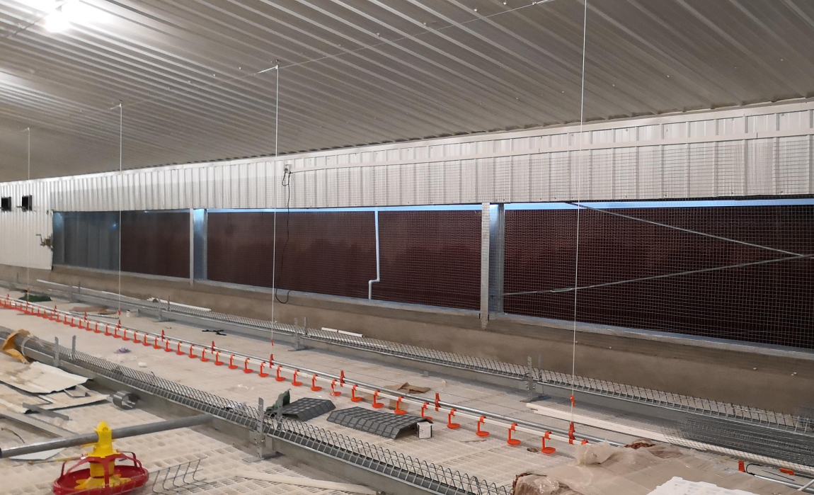 poultry house breeder equipment