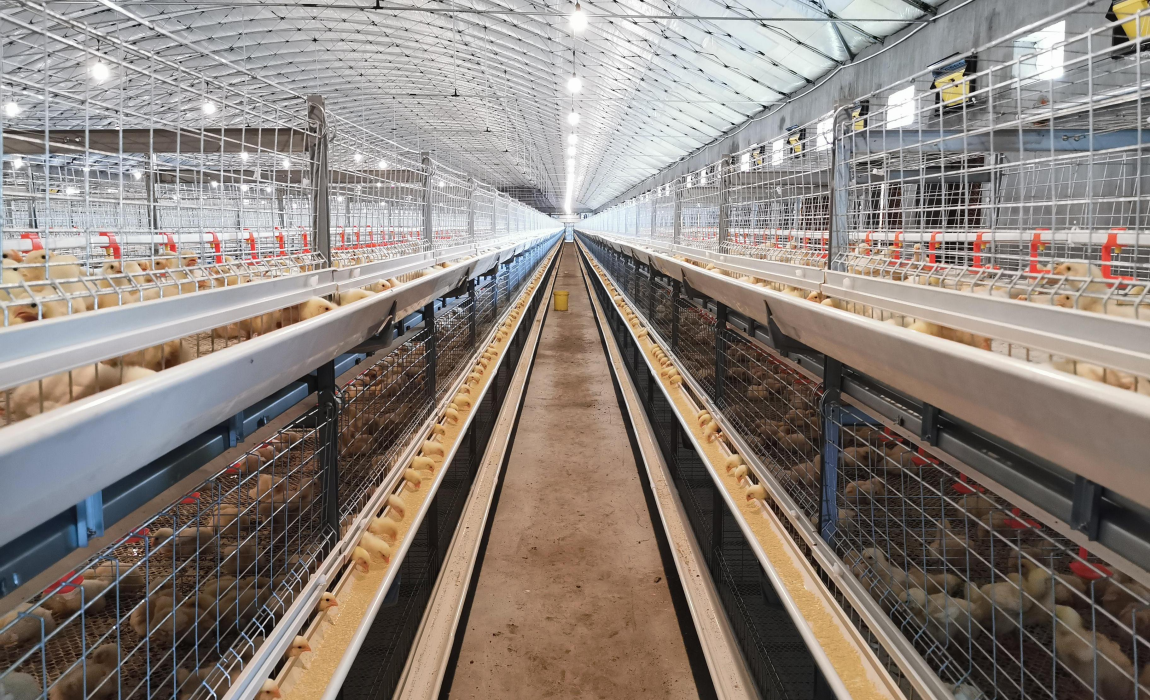 light steel egg house
