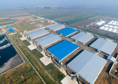 XGZ Light steel Pig farm