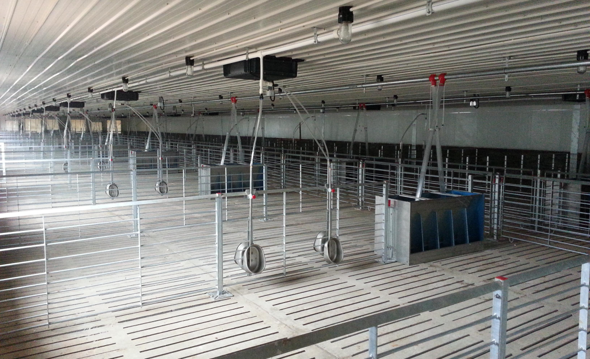 Pig farm