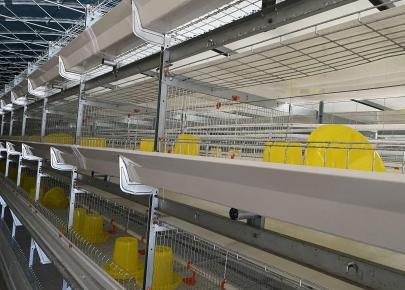 Broiler Cage equipment