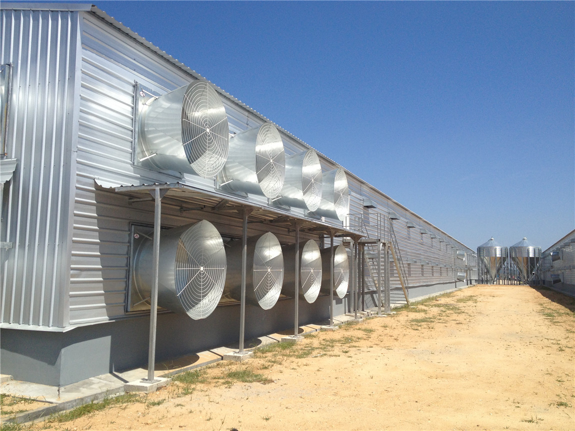 double layer chicken house