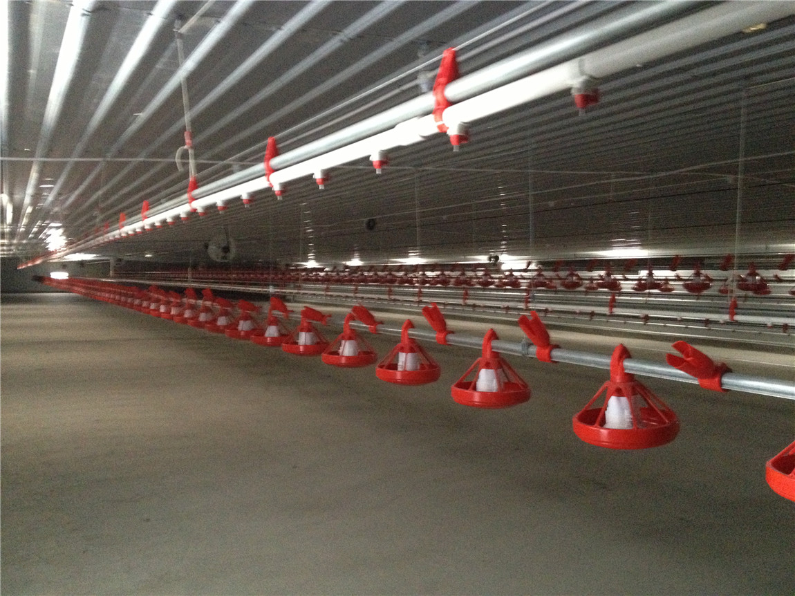 feeding line