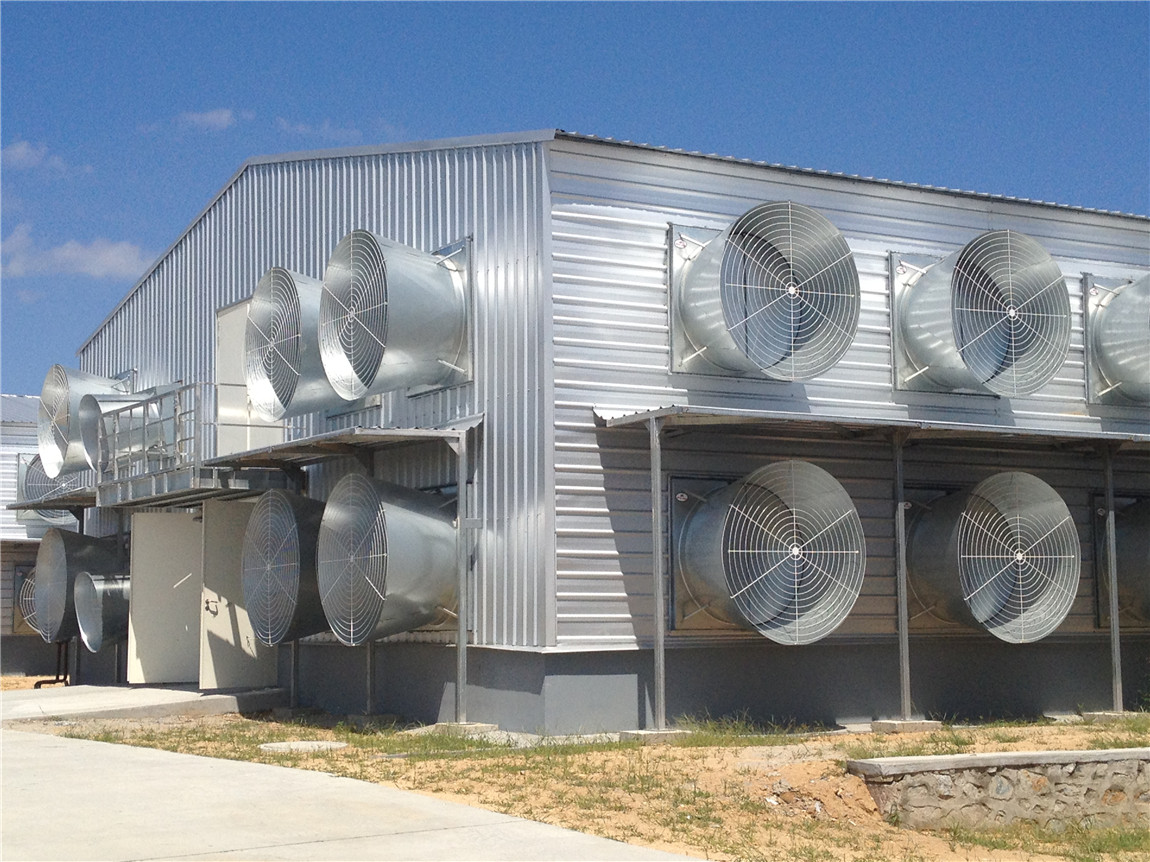 full auto poultry house