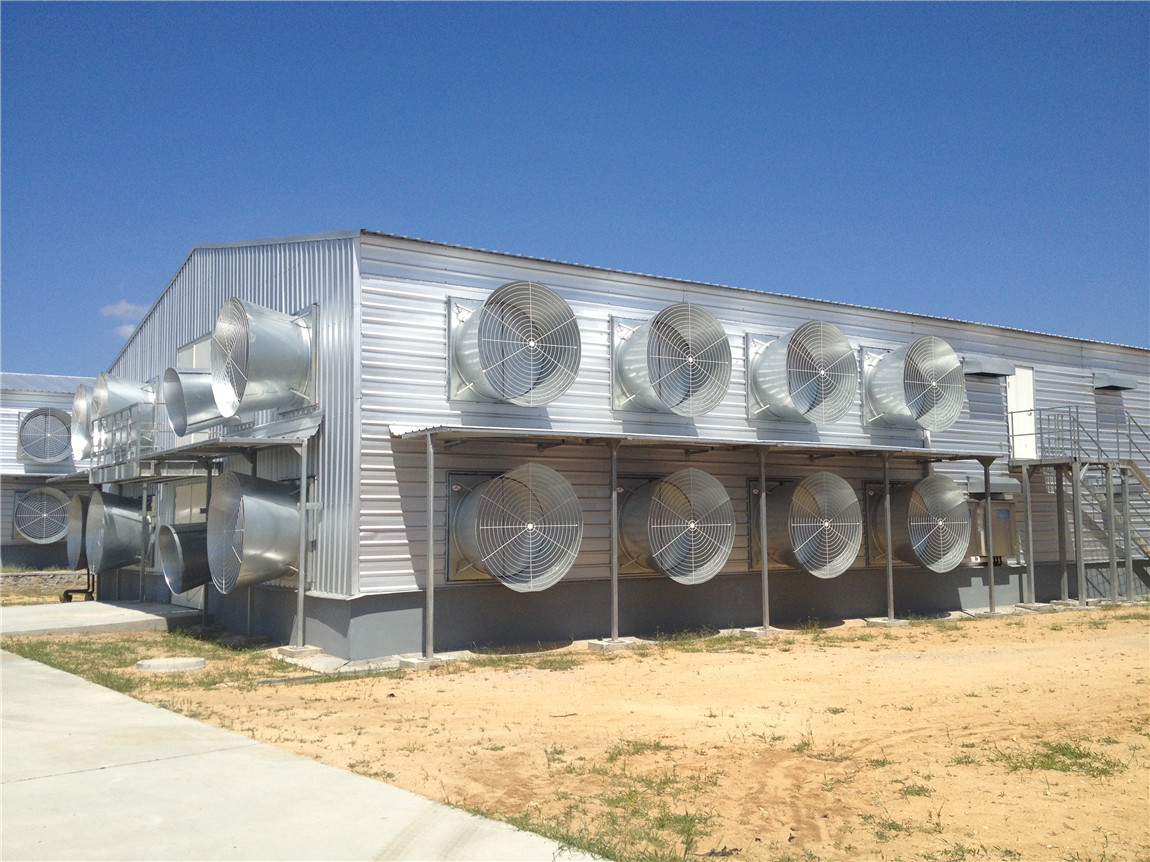 double floor poultry house