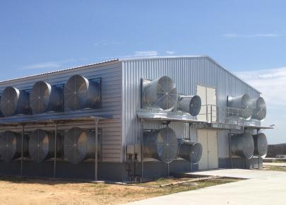 Double floor Full Automatic Complete Chicken Broiler house and equipment
