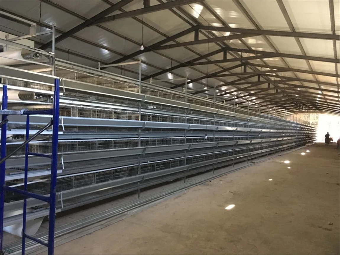 H cage equipment