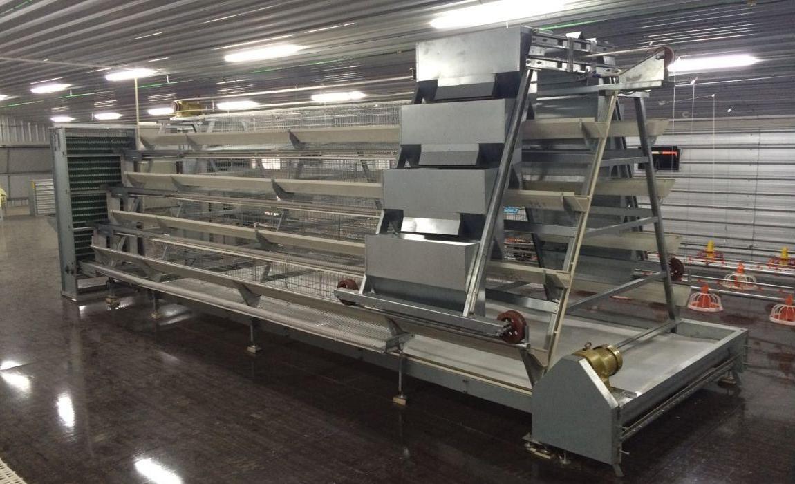 A type layer cage