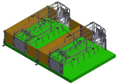 Pregnancy fence for Pig farm