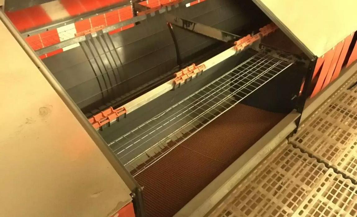 chicken breeder house