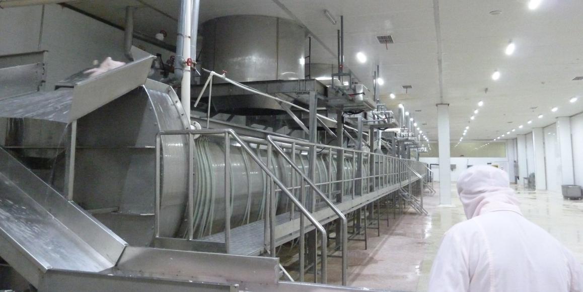 Slaughter House