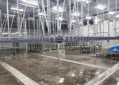 500BPH Stainless Steel Mobile Slaughterhouse