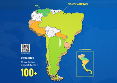 South America Project Cases