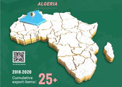 Algeria project cases
