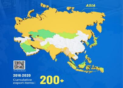 Aisa Project cases